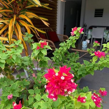 Le Tropical Appartement 1 Ou 2 Chambres 莱昂斯-达赫雷 外观 照片