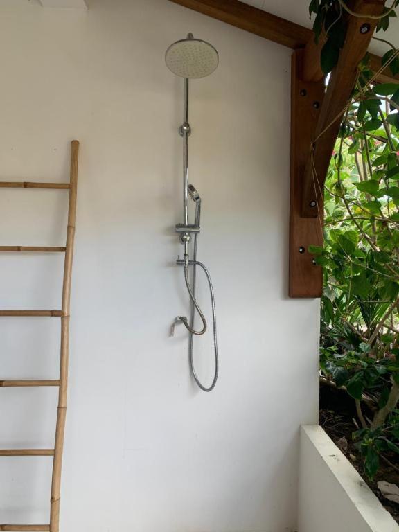 Le Tropical Appartement 1 Ou 2 Chambres 莱昂斯-达赫雷 外观 照片
